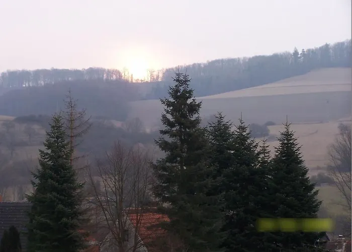 Ruhige Einliegerwohnung Mit Grosser Terrasse Heringen (Nordhausen)