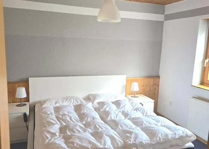 Ruhige Einliegerwohnung Mit Grosser Terrasse Heringen (Nordhausen)