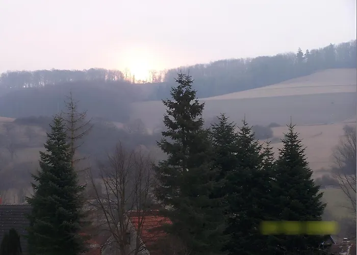 Ruhige Einliegerwohnung Mit Grosser Terrasse * Heringen (Nordhausen)